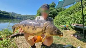 Mirror Carp