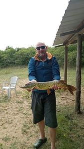 Northern Pike