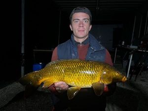 Koï Fish