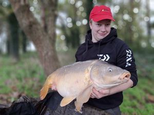 Mirror Carp