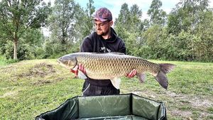 Grass Carp