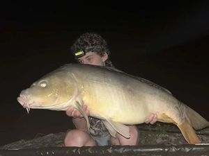Mirror Carp
