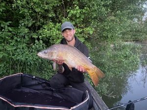 Mirror Carp