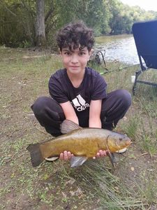 Tench