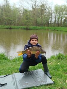 Mirror Carp