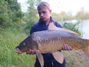 Mirror Carp
