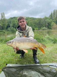 Mirror Carp