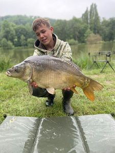 Mirror Carp