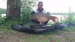 Mirror Carp