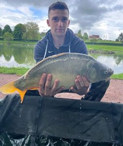 Mirror Carp