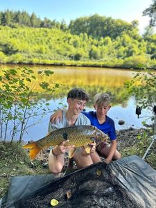 Common Carp
