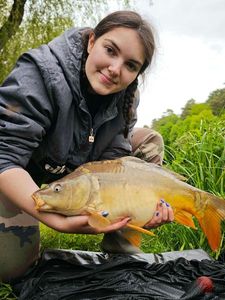Mirror Carp