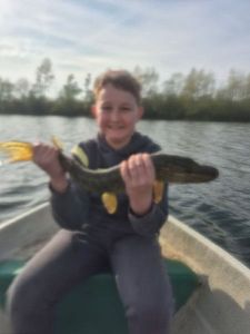 Northern Pike