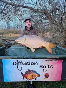 Mirror Carp