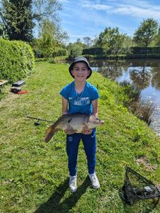 Mirror Carp