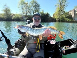 Northern Pike