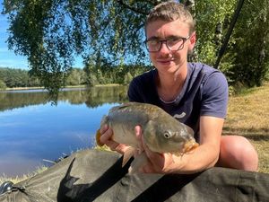 Mirror Carp