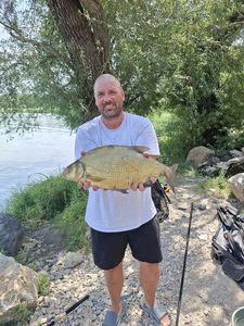 Common Bream