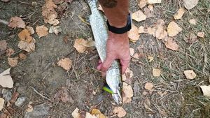 Northern Pike