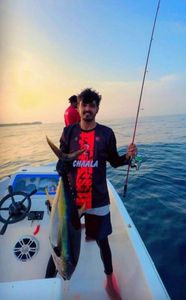 Yellowfin Tuna