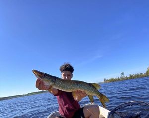 Northern Pike