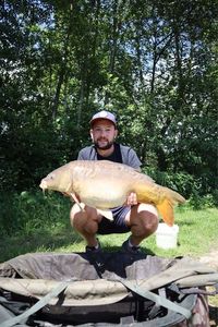 Mirror Carp