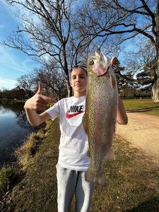 Rainbow Trout