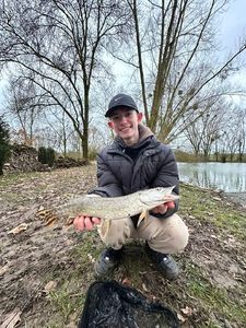 Northern Pike