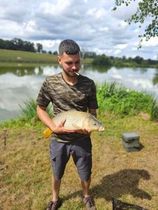 Common Carp