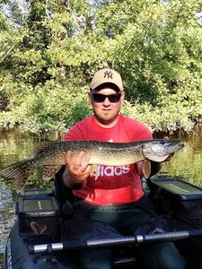 Northern Pike