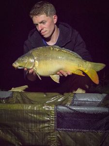Mirror Carp