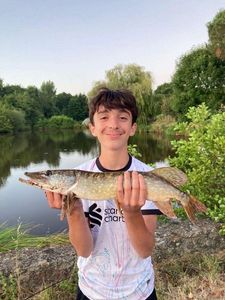 Northern Pike