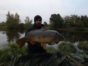 Mirror Carp