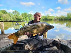 Common Carp