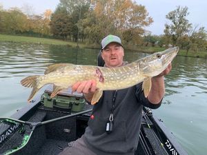 Northern Pike