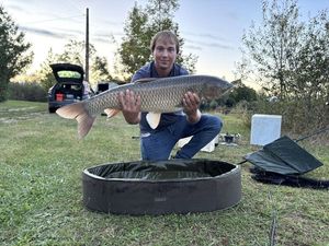 Grass Carp