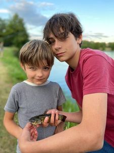 Black Bullhead