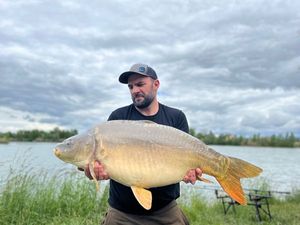 Mirror Carp