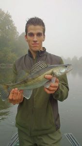 Zander