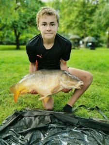 Mirror Carp