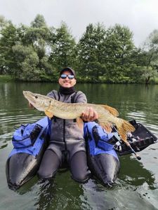 Northern Pike