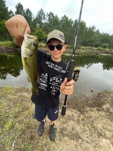 Achigan à Petite Bouche (Black-Bass)
