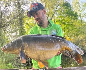 Mirror Carp
