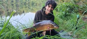 Mirror Carp