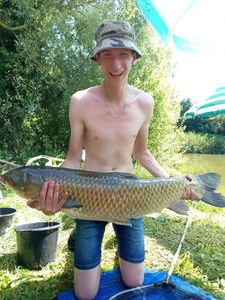 Grass Carp