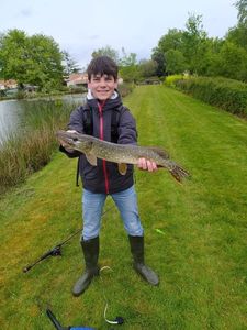 Northern Pike