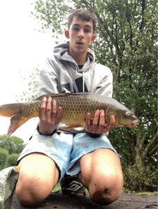 Common Carp