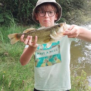 Black bass