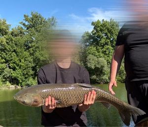 Grass Carp
