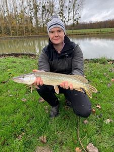 Northern Pike